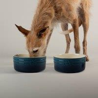 Scruffs Set of 2 Ombre Bowls