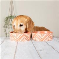 Scruffs Aztec Set of 2 Bowls