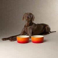 Scruffs Set of 2 Ombre Bowls