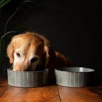 Scruffs Set of 2 Reactive Glaze Bowls