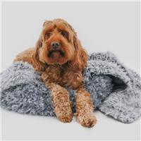Rosewood Silver Fluff Pet Blanket