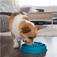 Rosewood Fun Feeder Drop Pet Bowl