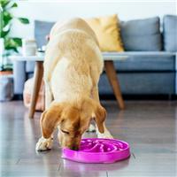 Rosewood Fun Feeder Flower Pet Bowl