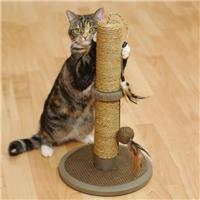 Rosewood Vigo Cat Post