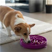 Rosewood Fun Feeder Flower Pet Bowl