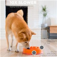 Rosewood Fun Feeder Swirl Pet Bowl