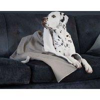 Lords and Labradors Savanna Dog Blanket