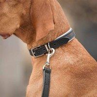 Lords and Labradors Italian Padded Leather Dog Collar