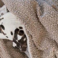 Lords and Labradors Boucle Dog Blanket