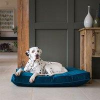 Lords and Labradors Velvet Dog Cushion