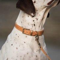 Lords and Labradors Italian Padded Leather Dog Lead