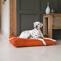 Lords and Labradors Velvet Dog Cushion