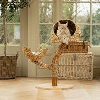 Lords and Labradors The Dome Cat Tree
