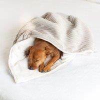Lords and Labradors Essentials Dog Blanket