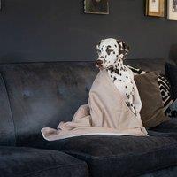 Lords and Labradors Savanna Dog Blanket