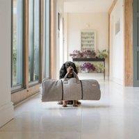 Lords and Labradors Pet Roll and Go Blanket