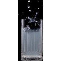 Ravenhead Winchester Set of 2 Highball Glasses