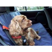 Danish Design Pet Car Seat Cover