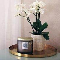 Heart & Home Love Always Ellipse Multi Wick Candle