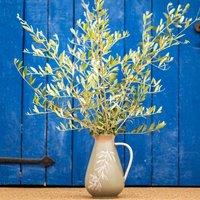 PurerHome x Eden Project Olives Stoneware Jug