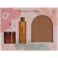 Upper Canada Wanderflower Brightening Summer Set