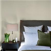 Superfresco Easy Multi Surface Matt Emulsion Paint