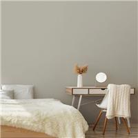 Superfresco Easy Multi Surface Matt Emulsion Paint