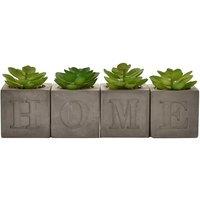 Hestia Set of 4 Artificial Succulents in a Cement Plant Pot