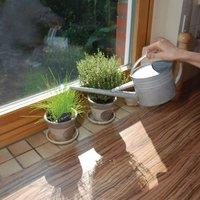 Fallen Fruits Indoor Watering Can
