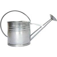 Fallen Fruits Zinc Watering Can