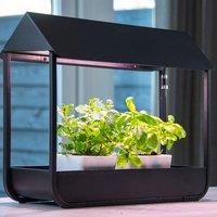 Fallen Fruits Plant Cold Frame with Grow Lamp