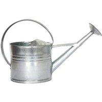 Fallen Fruits Zinc Watering Can