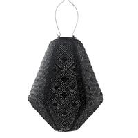 Fallen Fruits Can Occult Solar Lantern