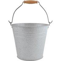 Fallen Fruits Old Zinc Bucket
