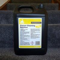 INUK Concentrated Carpet Cleaning Solution, Fresh & New Fragrance