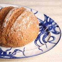 Hestia Set of 4 Octopus Dinner Plates