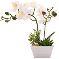 Country Living Artificial White Orchid in Ridged Square Plant Pot