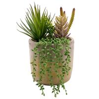 Country Living Artificial Trailing Succulents in Stoneware Plant Pot