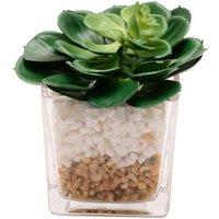 Country Living Artificial Succulents in Square Glass Plant Pot