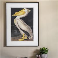Cedar & Sage Pellicano Framed Print