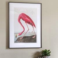 Cedar & Sage Wading Flamingo Framed Print