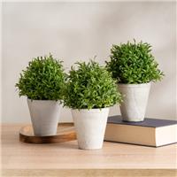 Set of 3 Artificial Topiary Plants in Cement Plant Pots