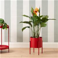 Scallop Metal Plant Pot