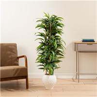 Artificial Bamboo Tree in Dimpled Ceramic Plant Pot