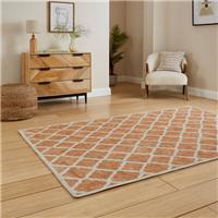 Coral H1063 Rug