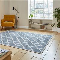 Coral H1063 Rug