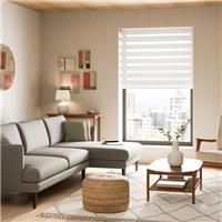 Day and Night Daylight Roller Blind