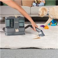 Beldray Compact Spotbuster