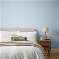 Dunelm Eggshell Emulsion Paint