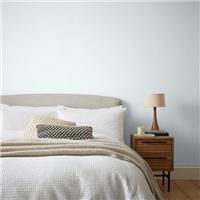 Dunelm Matt Emulsion Paint